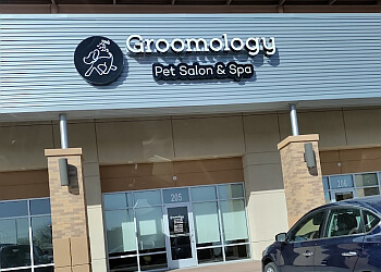 Groomology El Paso Pet Grooming
