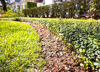Orlando Landscaping Companies Ground Source Landscaping