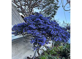  Grounded Landscapes Torrance Landscaping Companies image 1