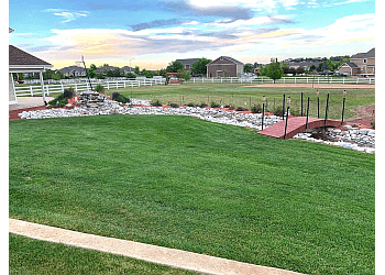 Thornton Lawn Care Services Grounded Lawn