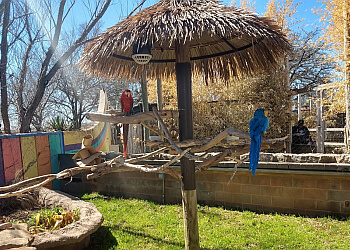 Abilene Public Parks Grover Nelson Park