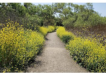 Oceanside Hiking Trails Guajome County Park