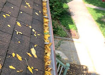 Chicago Gutter Cleaners Guaranteed Gutters