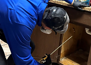 Laredo Pest Control Companies Guardian Pest Control