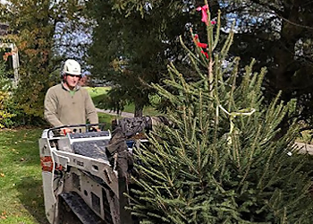 Ann Arbor Tree Services Guardian Tree Experts LLC