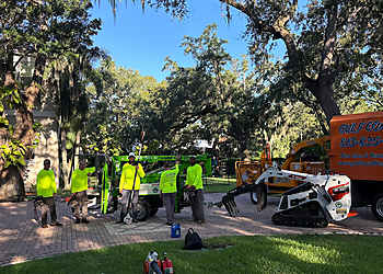 Tampa Tree Services Gulf Coast Trees Inc.