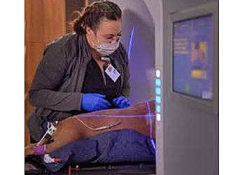 Houston Veterinary Clinics Gulf Coast Veterinary Specialists