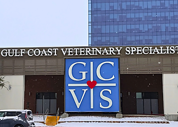Gulf Coast Veterinary Specialists  Houston Veterinary Clinics image 1