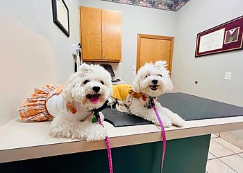 Arlington Veterinary Clinics Gully Animal Hospital