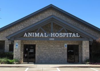 Arlington veterinary clinic Gully Animal Hospital