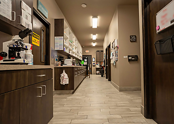 Grand Prairie Veterinary Clinics Gully Animal Hospital