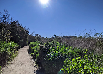 Gum Grove Park - Garden Grove, CA Hiking Trails - Attraction Image