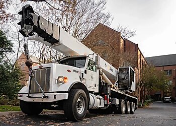 Atlanta Tree Services Gunnison Tree Services