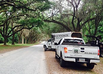 Atlanta Tree Services Gunnison Tree Services