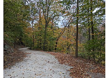 Baltimore Hiking Trails Gwynns Falls Trail