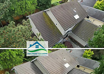 Bellevue Gutter Cleaners H&G Roof Cleaning and Exteriors LLC