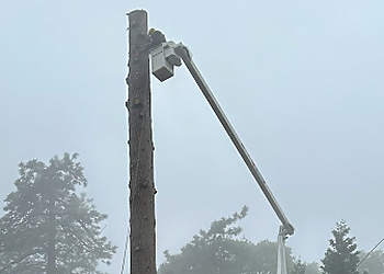 Rancho Cucamonga Tree Services HLI Tree Experts