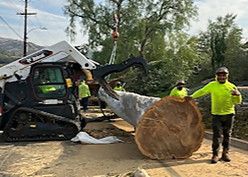 Rancho Cucamonga Tree Services HLI Tree Experts