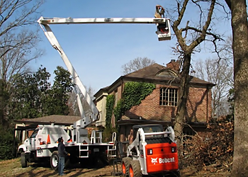 Rancho Cucamonga Tree Services HLS Tree Service