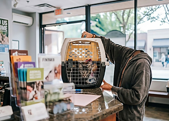 HOPE Animal Foundation - Fresno, CA Veterinary Clinics - Medical Procedure Image