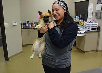 HOPE Animal Foundation - Fresno, CA Veterinary Clinics - Medical Examination Image