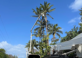 Honolulu Tree Services H.T.M. Contractors Inc.