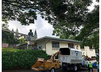H.T.M. Contractors Inc. Honolulu Tree Services