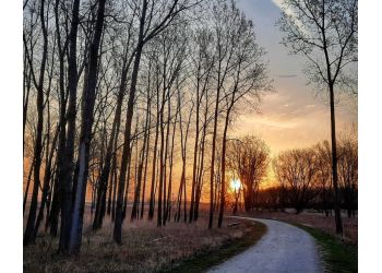 Hadley Valley Hadley Valley - Joliet, IL Hiking Trails - Destination Image