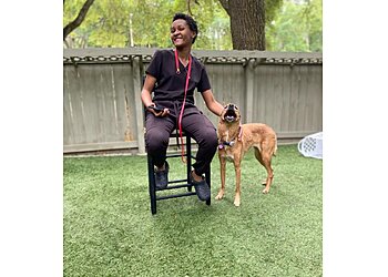 Gainesville Veterinary Clinics Haile Plantation Animal Clinic