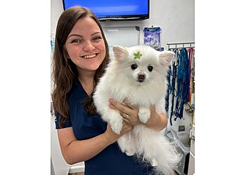 Gainesville Veterinary Clinics Haile Plantation Animal Clinic