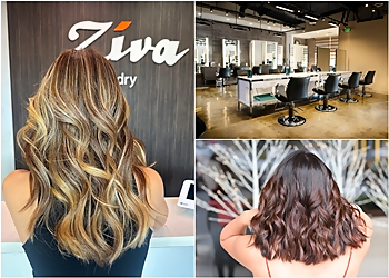 Torrance Hair Salons Hair Salon Ziva