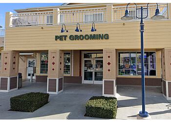 3 Best Pet Grooming in Santa Rosa, CA - Expert Recommendations