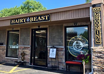Hairy Beast Dog Pawlour Aurora Pet Grooming image 1