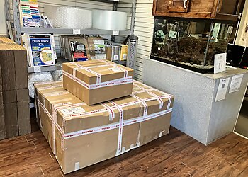 Corpus Christi Moving Companies Half Price Movers