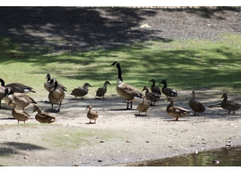 Waterbury Public Parks Hamilton Park
