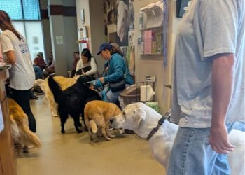 Colorado Springs Veterinary Clinics Hamlett Spay & Neuter Clinic