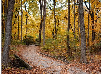 Joliet Hiking Trails Hammel Woods