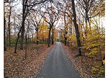 Joliet Hiking Trails Hammel Woods
