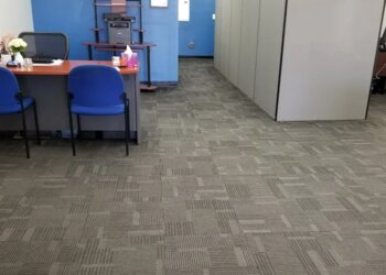 Ontario Insurance Agents Hammer Insurance Services Inc.