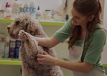 Allentown Pet Grooming Hamms Pawsome Dog Wash