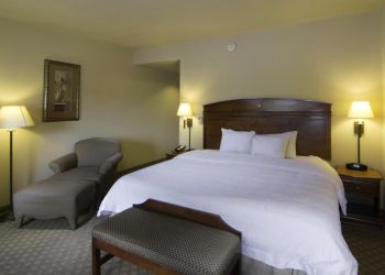 Hampton Inn and Suites Brownsville - Brownsville, TX Hotels - Hotel Room Image