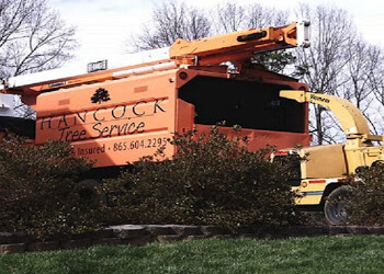 Hancock Tree Service Knoxville Tree Services image 1