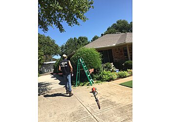 Arlington Lawn Care Services Handsome Lawn Service