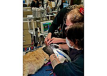 Portland Veterinary Clinics Hannah Pet Hospital