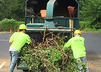 St Louis Tree Services Hansen's Tree Service