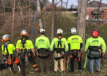 St Louis Tree Services Hansen's Tree Service