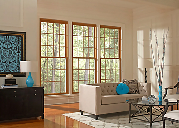 Hansons - Grand Rapids, MI Window Companies - Field Work Image