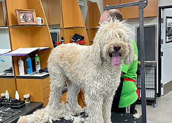 Las Vegas Pet Grooming Happy And Lucky Pet Salon And Mobile Grooming