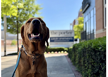 Happy Dog Baltimore - Baltimore, MD Dog Walkers - Service Highlights