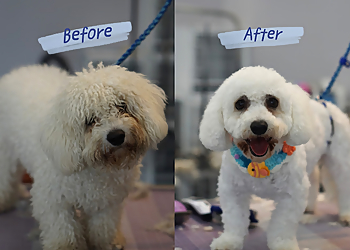 Ontario Pet Grooming Happy Dog Grooming